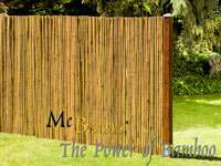 Bambus-Aachen: Anwendungsbeispiel f�r den Bambusrollzaun Natur - Ort: Aachen