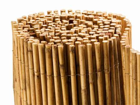 Bambus-Aachen: Bambusmatte Bangkok - Ort: Aachen